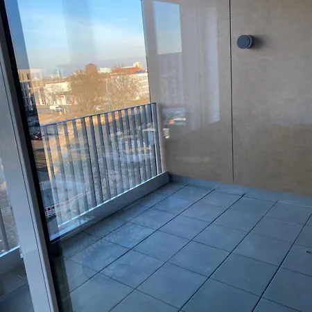 公寓 Interassist 14 海德堡