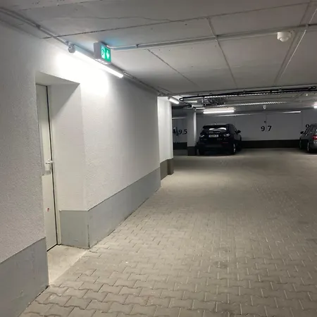 公寓 Interassist 14 海德堡