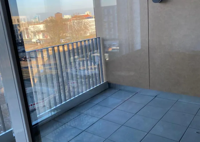 公寓 Interassist 14 海德堡